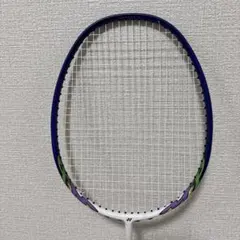 Item thumbnail for item eb34abe9-d259-445b-a34e-853eb5de7411