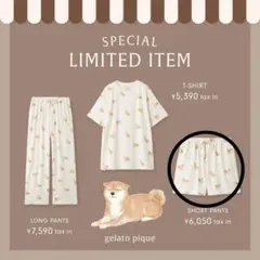 ジェラートピケ 柴犬 ルームウェア　ジェラピケ