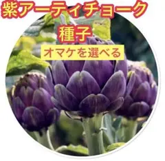 jun様 リクエスト 3点 まとめ商品