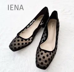 新品 IENA 36 ドットチュールパンプス 黒 シアー 水玉 23 ブラック