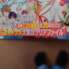 ミユキ蜜蜂画業20周年記念 ミユキメンズ大集合クリアファイル