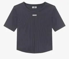 THE NORTH FACE ダークグレー Tシャツ 半袖