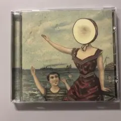 IN THE AEROPLANE OVER THE SEA (IMPORT)