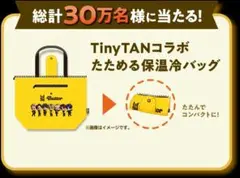 2025年最新】tinytan 保温冷バッグの人気アイテム - メルカリ