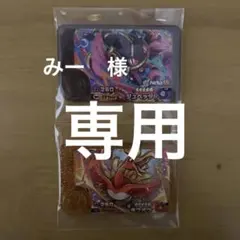 ポケモンフレンダ★ジュペッタ★ホウオウ★スーパートレジャー★ハロウィン★レガシー