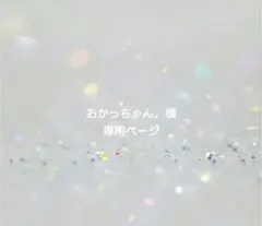 おかっちゃん。様専用ページ