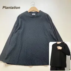 プランテーション デザイントップス シャーリング花刺繍綿100% 手洗 