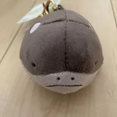 ポケモン pokemon ドオー ぬいぐるみ マスコット