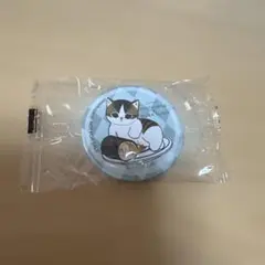 mofusand 缶バッジ くら寿司