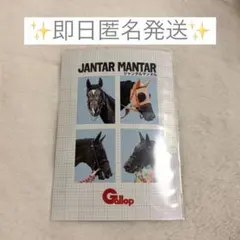 【即日匿名発送】ジャンタルマンタル 証明写真風プリント