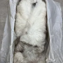 SAGA FOX ファーマフラー ショール