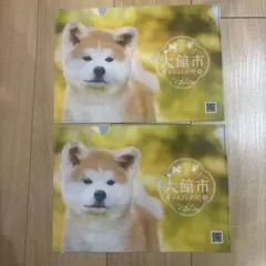 秋田犬 キャラクターグッズ