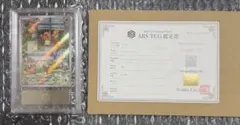 フクオカのピカチュウ ARS10 ポケモンカード 鑑定書付き - メルカリ