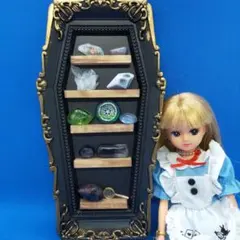 棺桶の棚小物セットNo.2 魔女 家具 標本ドールハウス ミニチュア リーメント