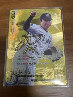 1/21限定価格】ドリームオーダー 伊藤大海SSPP 伊藤大海SSPP - メルカリ