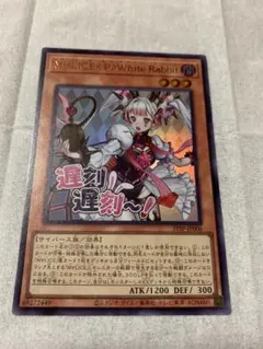 2026年最新】マリス ホワイトラビット 25thの人気アイテム - メルカリ