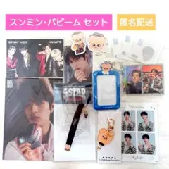 straykids スンミン パピーム セット まとめ売り