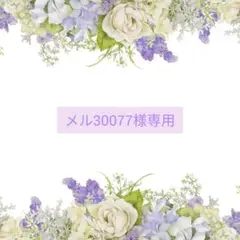 メル30077様専用ページ☆ハンドメイド　レジン　2点