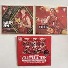 女子バレーボール石川真佑ミニ色紙2枚セット - メルカリ