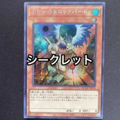ドロール&ロックバード　シークレット　シク