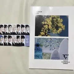 Seventeen carat magazine vol.12