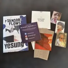 2026年最新】イェソン トレカ sensory flowsの人気アイテム - メルカリ