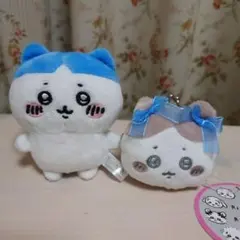 ハチワレ ぱっつん