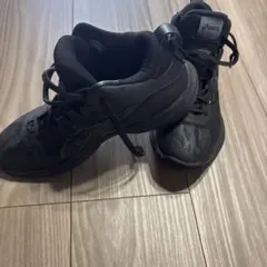 アシックス バスケットボールシューズ バッシュGELHOOP24.5cm - メルカリ