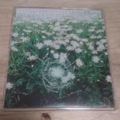 yuji様 リクエスト 2点 まとめ商品