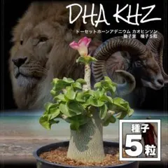 しゃけ様 リクエスト 2点 まとめ商品