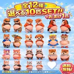 【専用✨】toomii 様　４　５　７　９　12