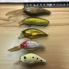 1204】新品 リアルフィッシュデザイン ハードルアー - メルカリ