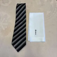 Item thumbnail for item 9465de48-0572-4b98-80a6-bde3148de741