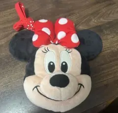 ディズニーリゾート ミニー パスケース ポシェット コインケース