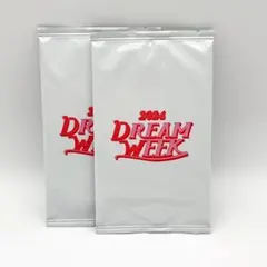 新品未開封　TXT 2024 DREAM WEEK インスタントフォトカード