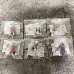 めじるしアクセサリー 仮面ライダー 6点 まとめ売り