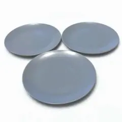 廃盤品 IKEA プレート 皿 3枚セット ブルーグレー ディネーラ