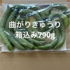 曲がり きゅうり 箱込み790g ネコポスのサムネイル