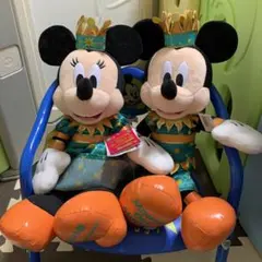 限定　ペア未使用東京ディズニーランド２０１８年