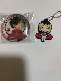 ハイキュー！！ラバーキーホルダー、缶バッジセット