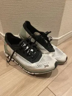 Item thumbnail for item 18e6ebce-1ae5-457f-a6f4-9e55e0bd7f6e