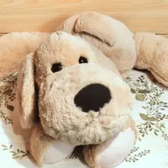 ルーク　LOUK くたくた　仔犬のルーク　ベージュ　大きいサイズ　ぬいぐるみのサムネイル
