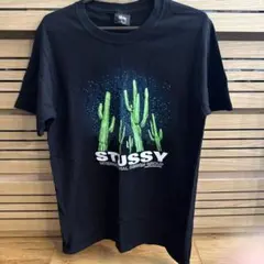 STUSSY Ｔシャツ　Sサイズ