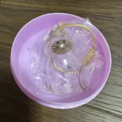 うちの子のけだまだま　シャム