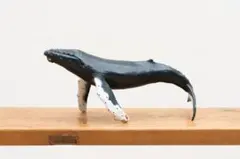 Item thumbnail for item 53bdce0b-6083-4cd7-b0f0-37f0361d3111