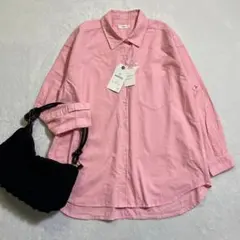 SHIPS any/洗濯機可能/コットンレギュラーカラー 刺繍 シャツ/長袖/F