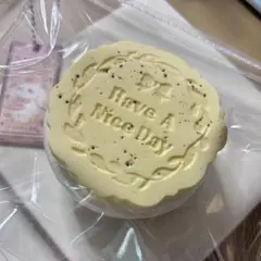 【シリコンスクイーズ 】チョコアールグレイビスケット 木木