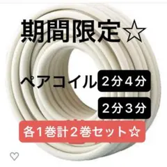 2025年最新】ペアコイルの人気アイテム - メルカリ