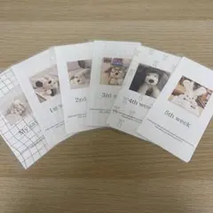 Item thumbnail for item 8d5409ca-d5c2-4f6e-a94c-b039ae1985ae