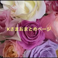 けんごまん様 リクエスト 2点 まとめ商品